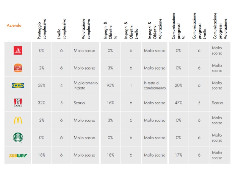 pollo esseri animali 2