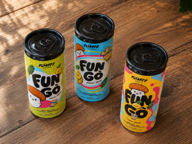 fun go 2