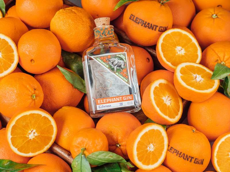 L'etichetta super premium Elephant Gin entra nel portfolio di Compagnia dei Caraibi