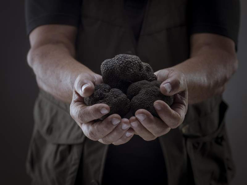 Il tartufo nero protagonista della partnership fra Appennino Food Group e De Santis