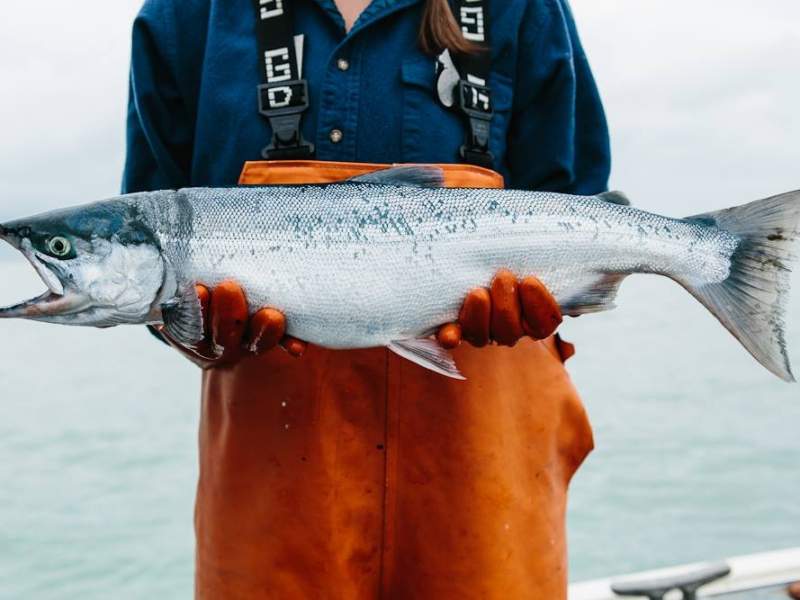 Alaska Seafood commercializza i propri prodotti ittici nei canali Horeca e Gdo