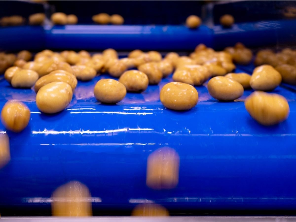 Le linee di verdure IV gamma di Naturitalia comprendono patate, carote, cipolle e zucche