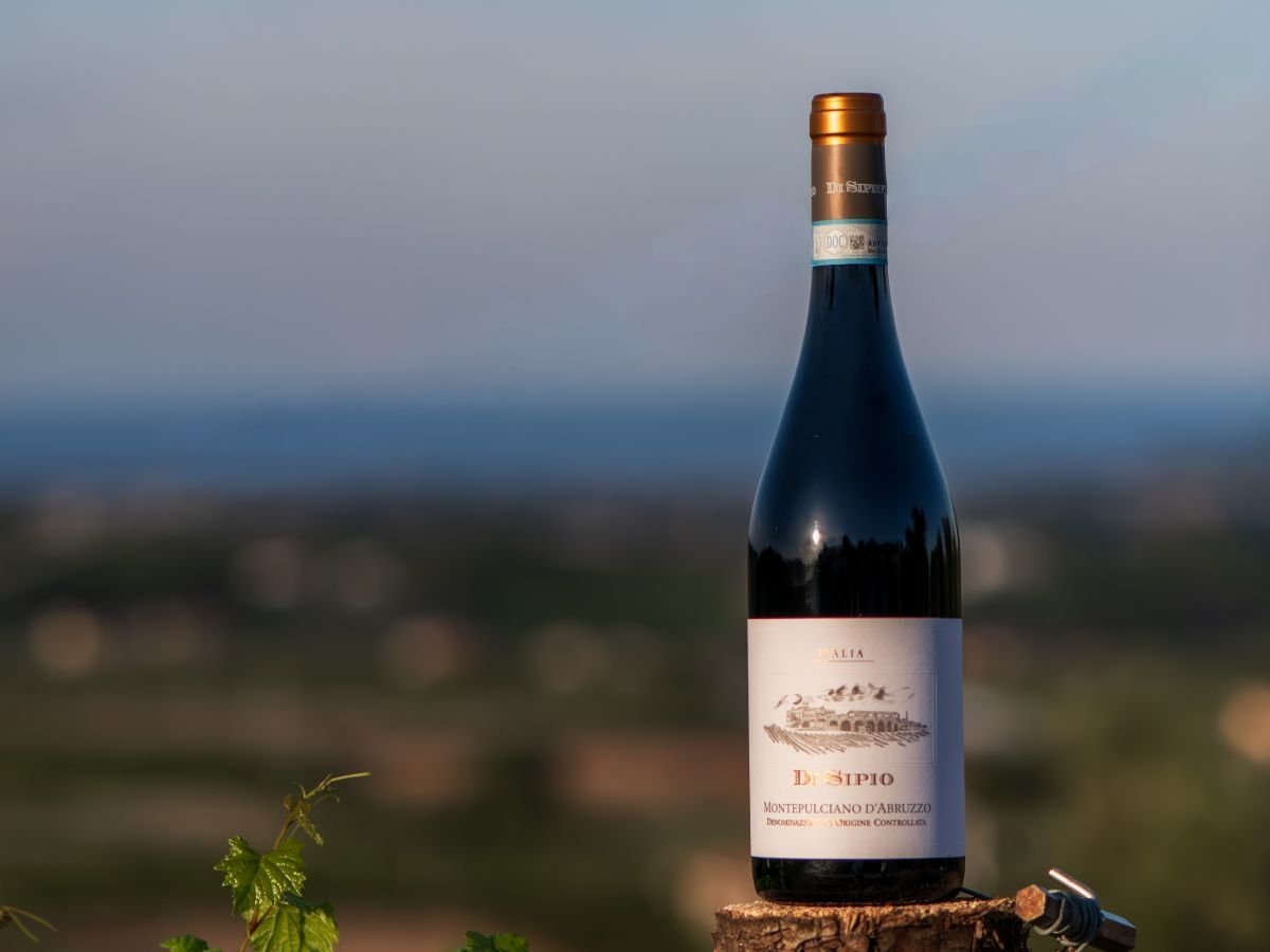 Il Montepulciano d'Abruzzo 2023 della cantina Di Sipio