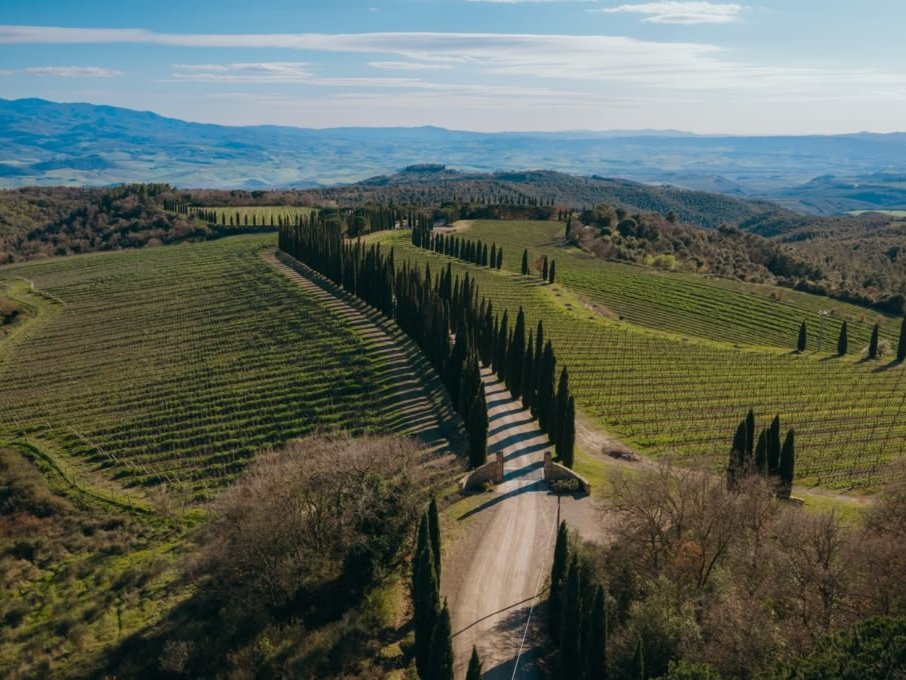 Poggio Antico, 560 bottiglie per il primo Chardonnay della tenuta