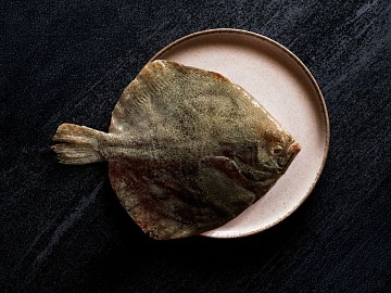 Il rombo da acquacoltura di Neptura