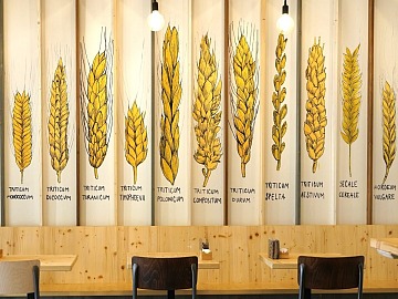 Breaders oggi associa 7 realtà e 31 punti vendita totali