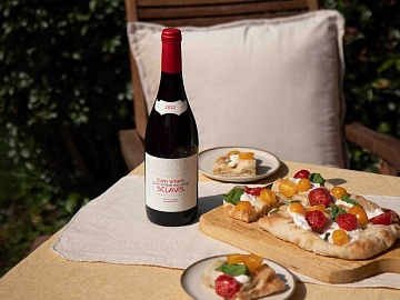 La Schiava Cum Vineis Sclavis di Cavit