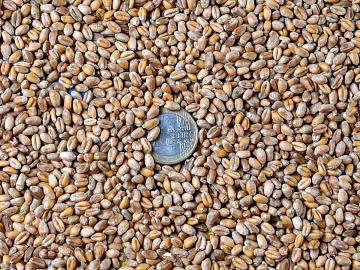 In totale, le operazioni nell'alimentare mappate da Aifi sono state 400 dal 2000 al 2025