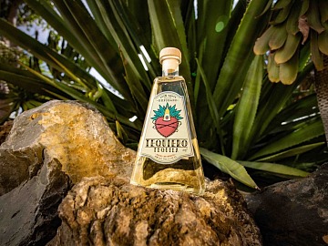 Tequiero Tequila Reposado, realizzata al 100% con agave blu, ora nel catalogo Compagnia dei Caraibi