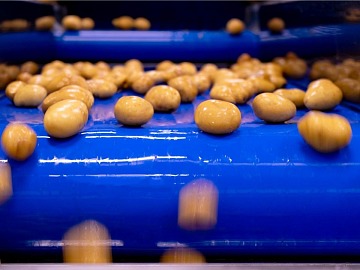 Le linee di verdure IV gamma di Naturitalia comprendono patate, carote, cipolle e zucche