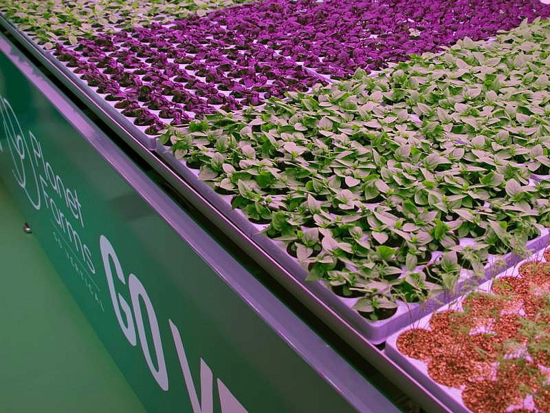 Il vertical farming di Planet Farms si avvicina al mondo della ristorazione